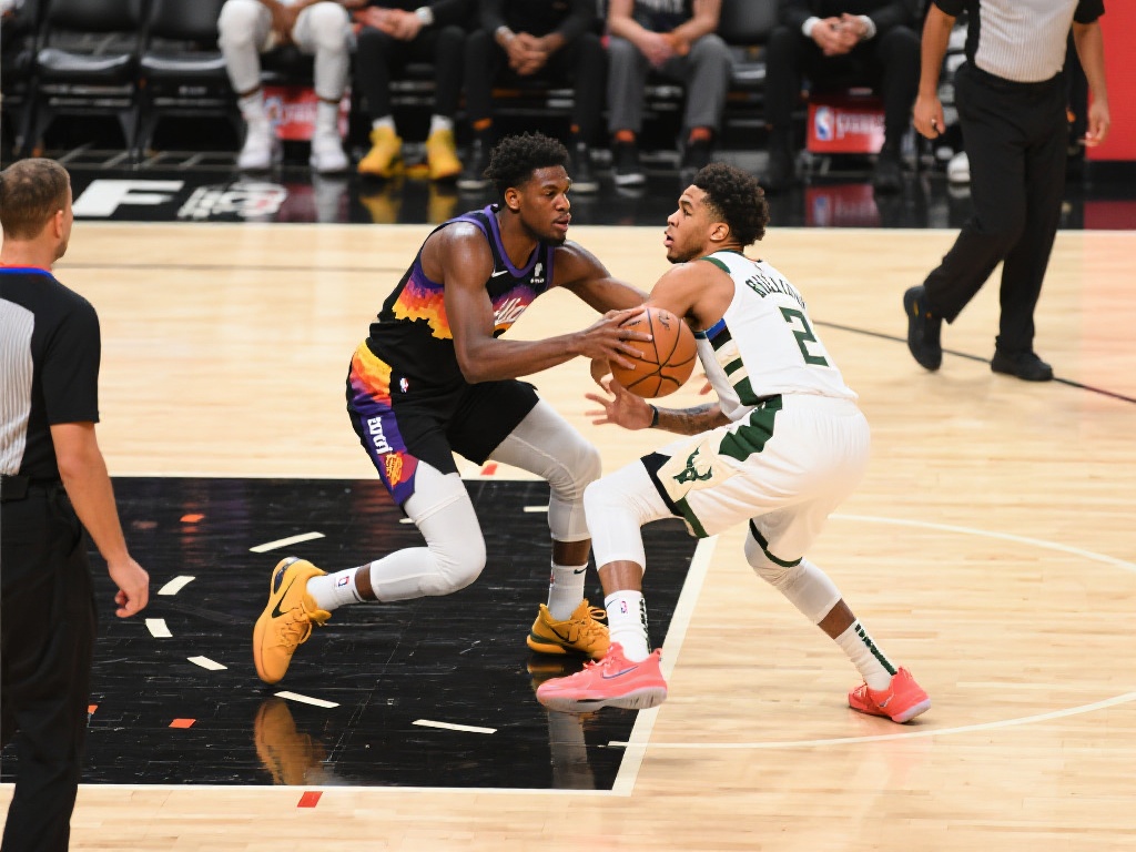 南美洲的职 南美洲的职